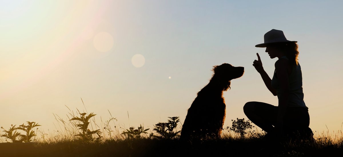 dog sitter milano